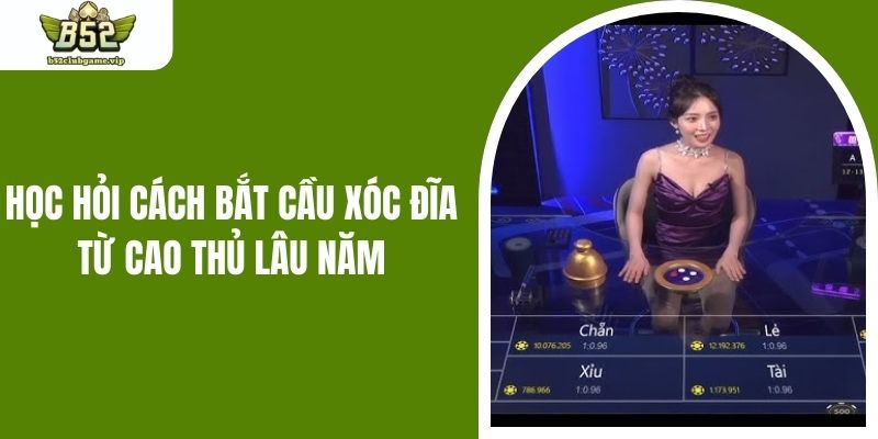 Học hỏi cách bắt cầu xóc đĩa từ cao thủ lâu năm