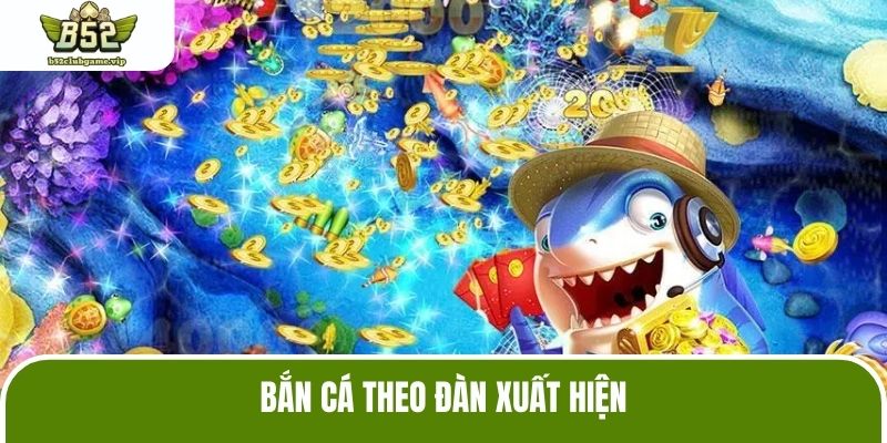 Bắn cá theo đàn xuất hiện