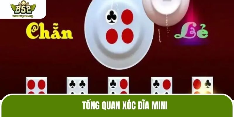 Tổng quan Xóc Đĩa mini